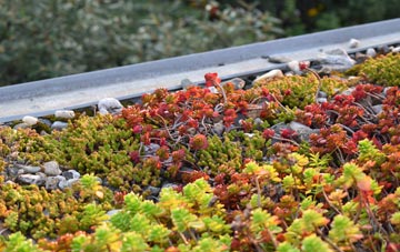 the cost of Cove Bottom green roof installation